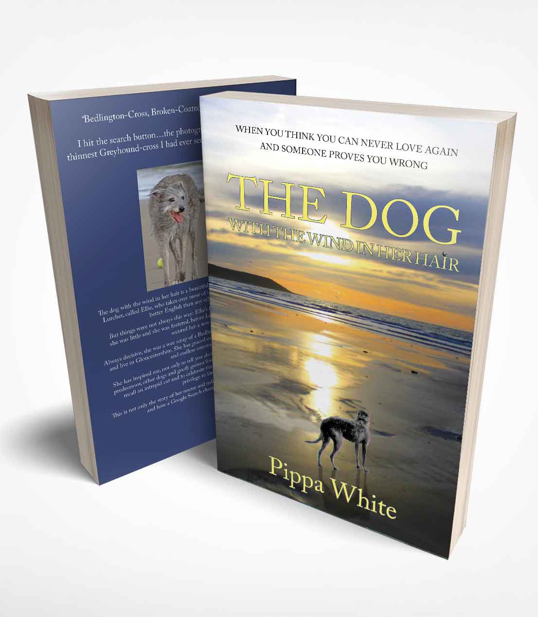 The Dog With The Wind In her Hair